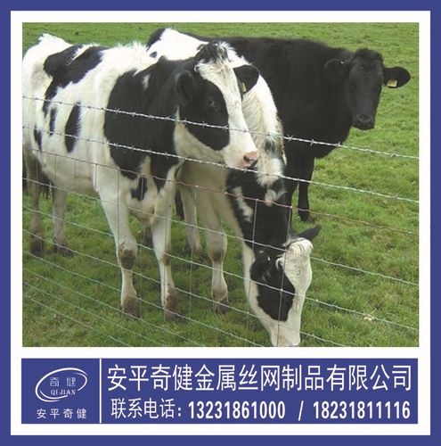 加工定做牛栏网【草原围网】养殖圈养牲畜网